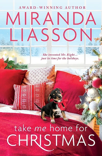 Take Me Home for Christmas