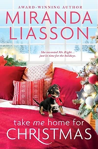 Take Me Home for Christmas