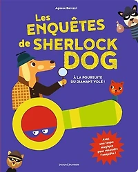A la poursuite du diamant volé !