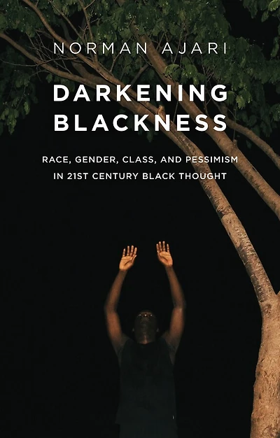 Darkening Blackness: Race, Gender, Class, and Pessimism 21st-Century Black Thought