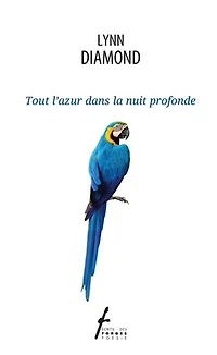 Tout l'azur dans la nuit profonde