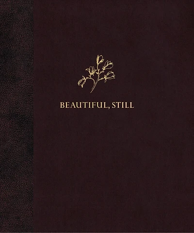 Beautiful, Still
