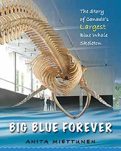 Big Blue Forever: The Story Of Canada's Largest Blue Whale Skeleton