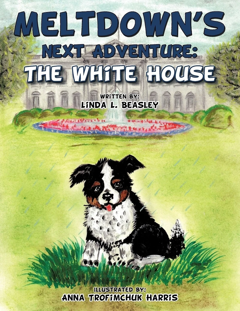 Meltdown's Next Adventure: The White House