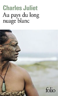 Au pays du long nuage blanc: journal, Wellington août 2003-janvier 2004