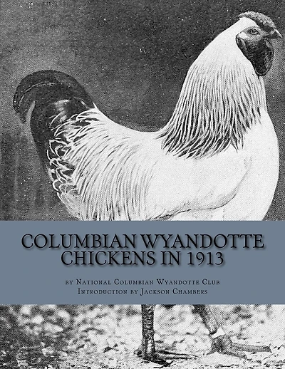Columbian Wyandotte Chickens in