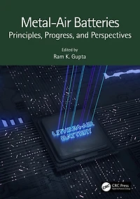 Metal-Air Batteries: Principles, Progress, and Perspectives
