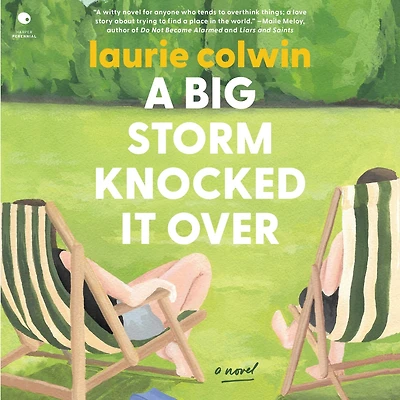A Big Storm Knocked It Over: Novel