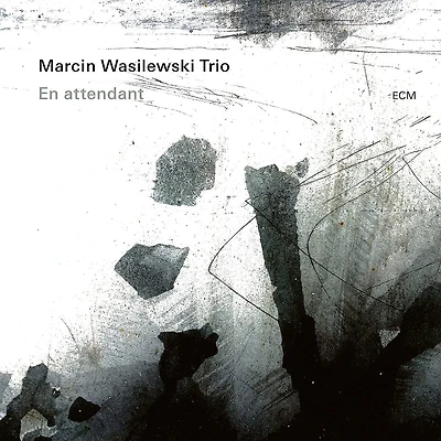 En Attendant by Marcin Wasilewski Trio (1 LP)