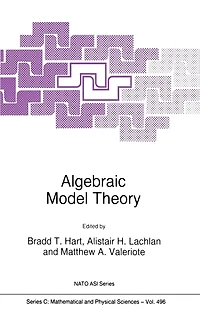 Algebraic Model Theory