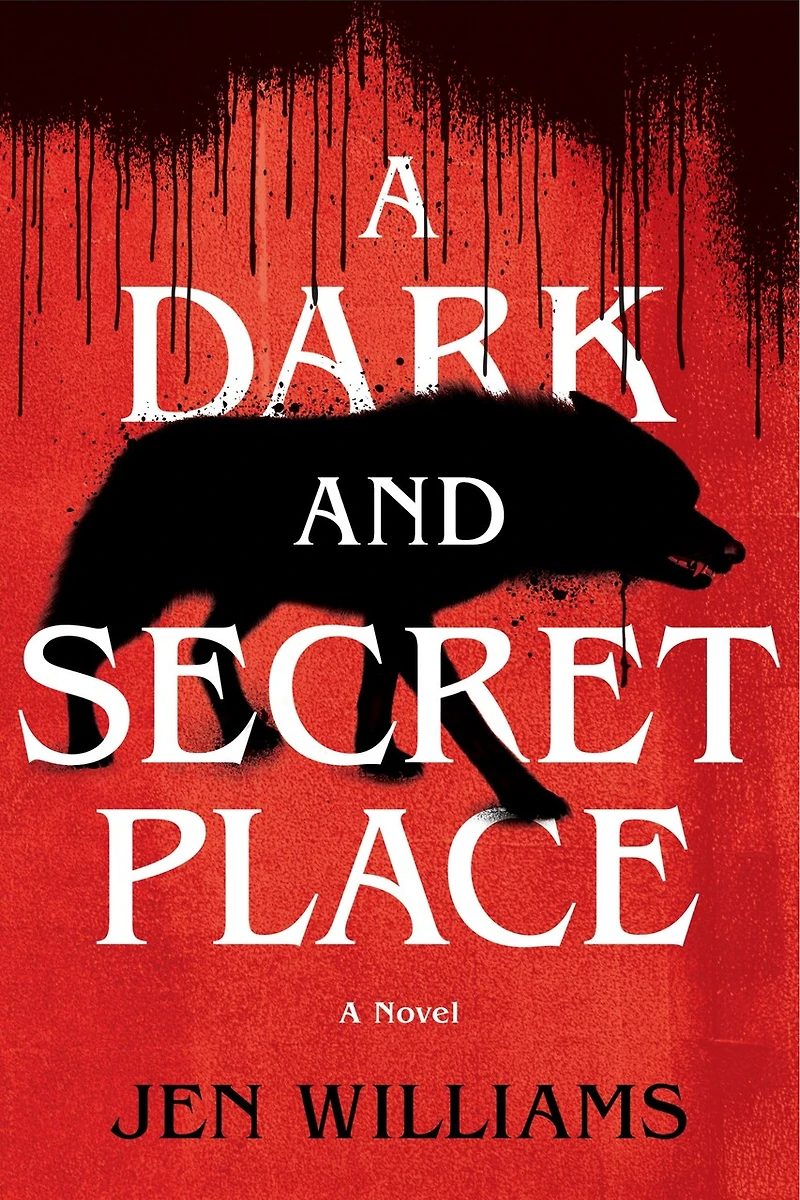 A Dark and Secret Place: Thriller