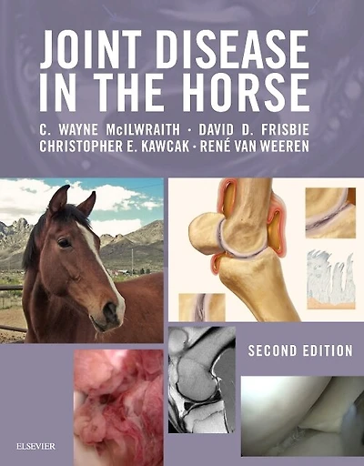 Joint Disease the Horse