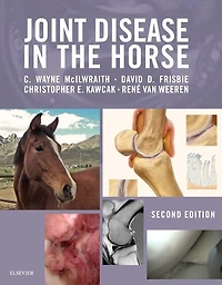 Joint Disease the Horse