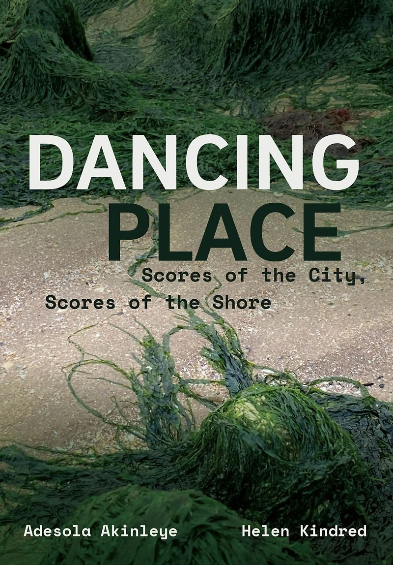 Dancing Place: Scores of the City, Shore