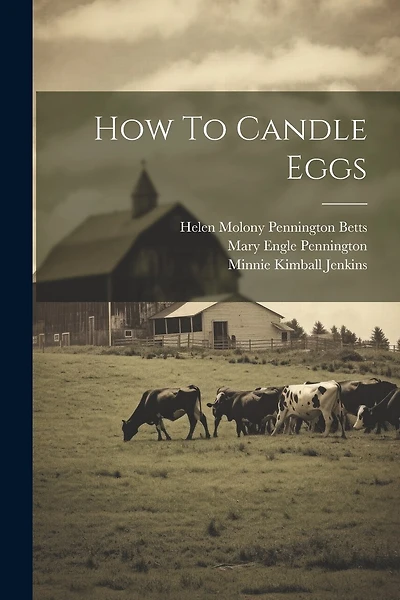 How To Candle Eggs