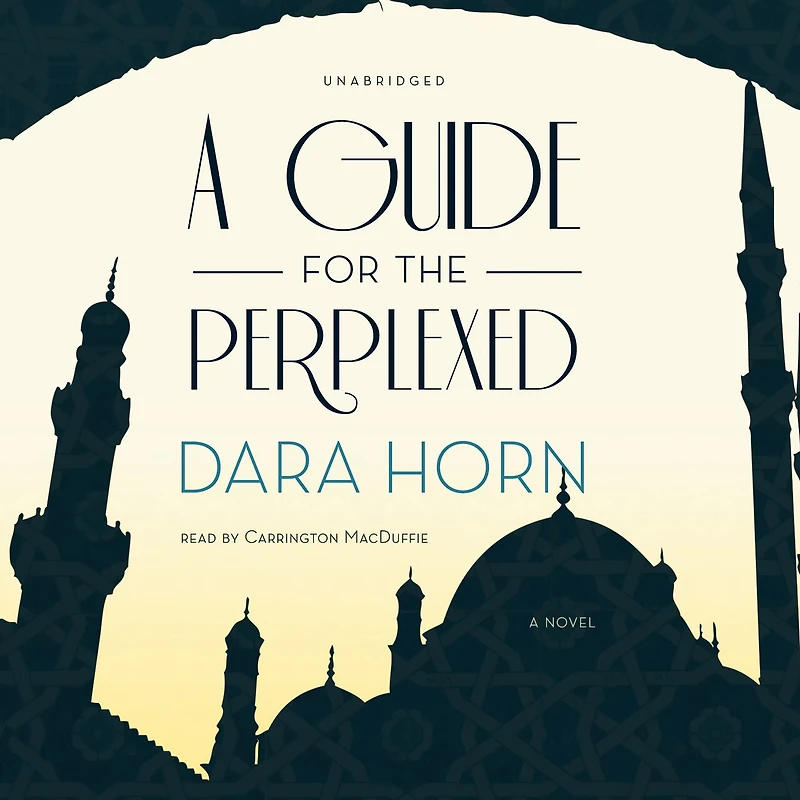 A Guide for the Perplexed: Novel