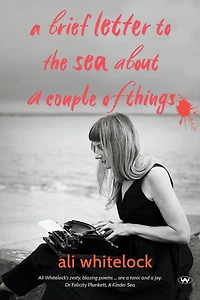 A Brief Letter to the Sea About a Couple of Things