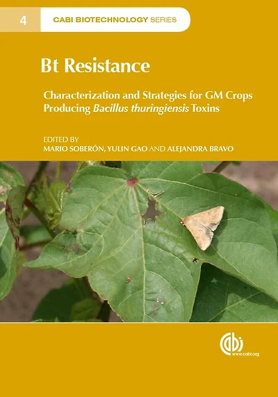 Bt Resistance: Characterization and Strategies for GM Crops Producing Bacillus thuringiensis Toxins