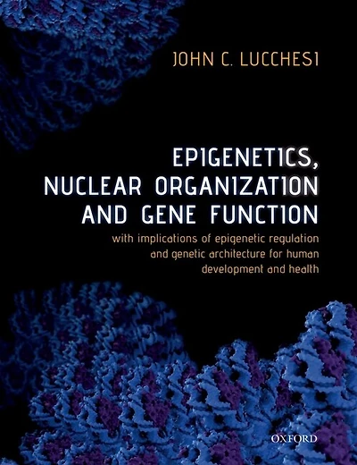 Epigenetics, Nuclear Organization and Gene Function: With implications of epigenetic regulation genetic architecture for human development health