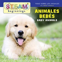 Baby Animals/Animales de Bebe
