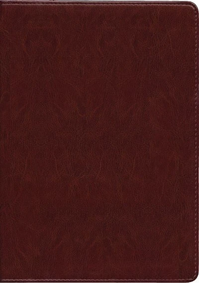 Kjv Life Application Study Bible, Second Edition, Large Print (red Letter, Leatherlike, Brown)