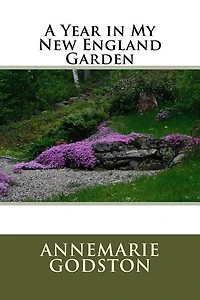 A Year in My New England Garden: A Year in My New England Garden