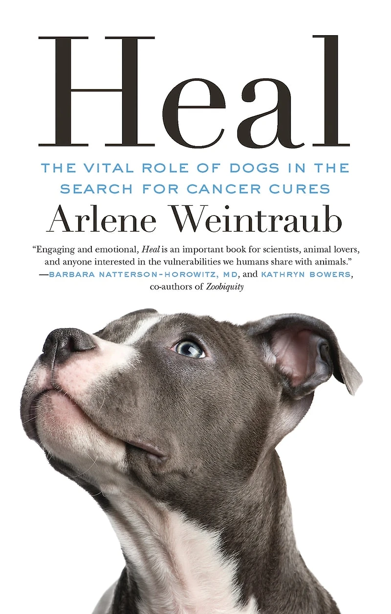 Heal: The Vital Role Of Dogs Search For Cancer Cures