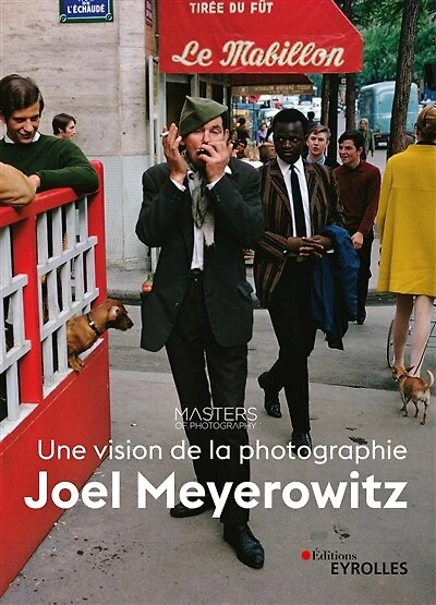 Joel Meyerowitz : une vision de la photographie: une vision de la photographie