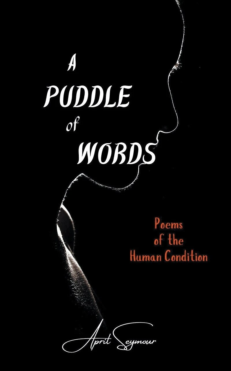 A Puddle of Words: Poems of the Human Condition