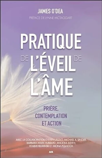 Pratique de l'éveil de l'âme: prière, contemplation et action