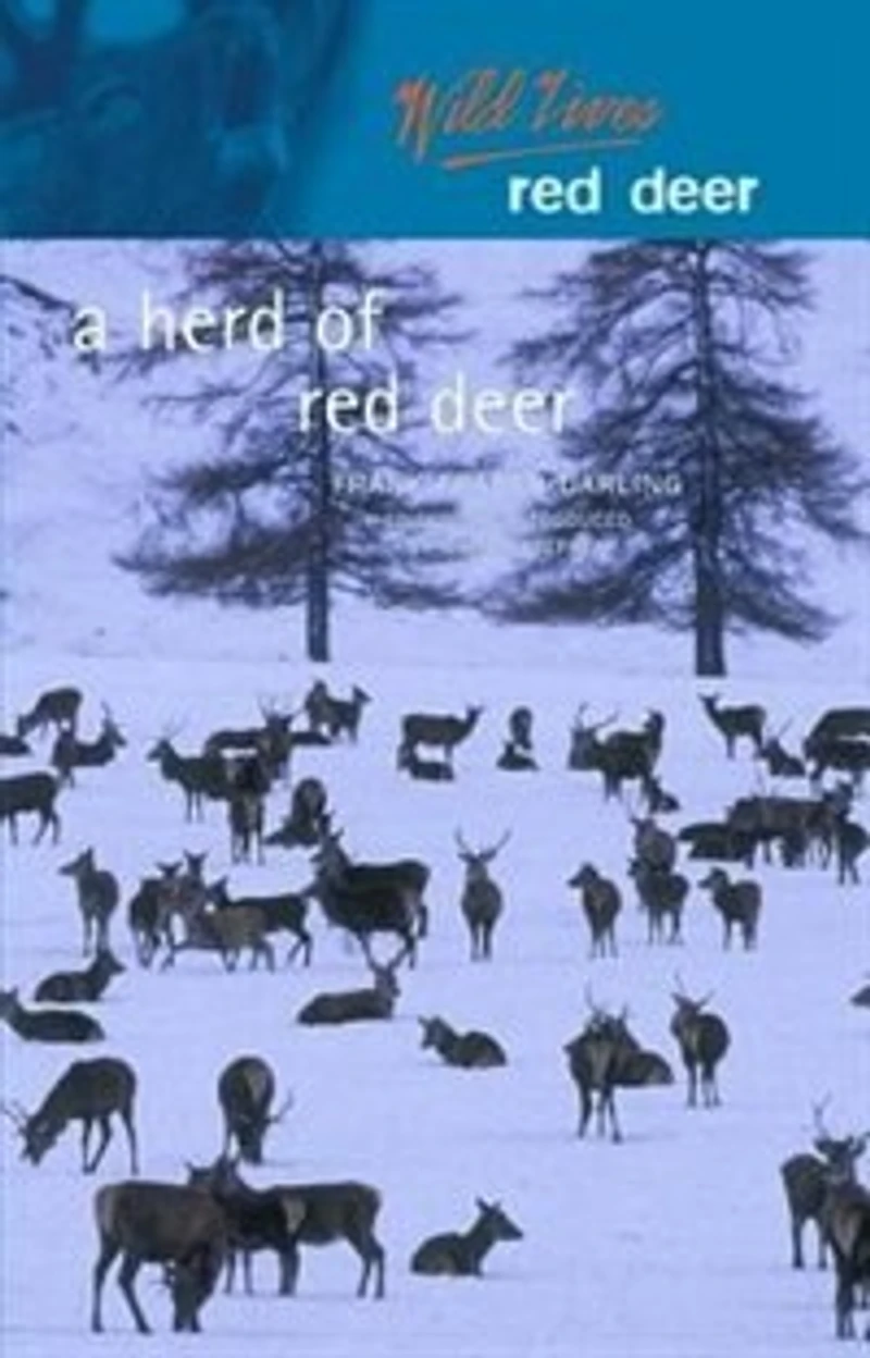 A Herd of Red Deer: A Study in Animal Behaviour