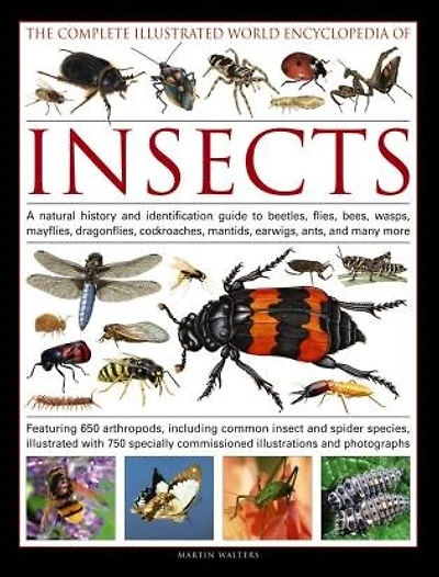 The Complete Illustrated World Encyclopedia of Insects: A Natural History And Identification Guide To Beetles, Flies, Bees, Wasps, Mayflies, Dragonflies, Cockroaches, Mantids, Earwigs, Ants, And Many More