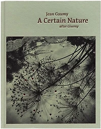 A certain nature after Giverny