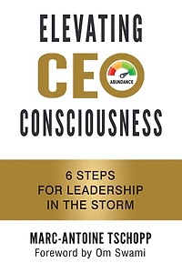 Elevating CEO Consciousness: 6 Steps for Leadership the Storm