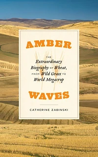 Amber Waves: The Extraordinary Biography Of Wheat, From Wild Grass To World Megacrop