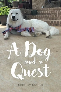 a Dog and Quest