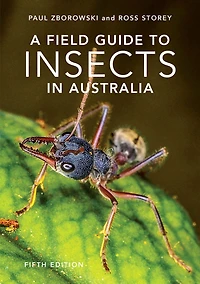 A Field Guide to Insects of Australia