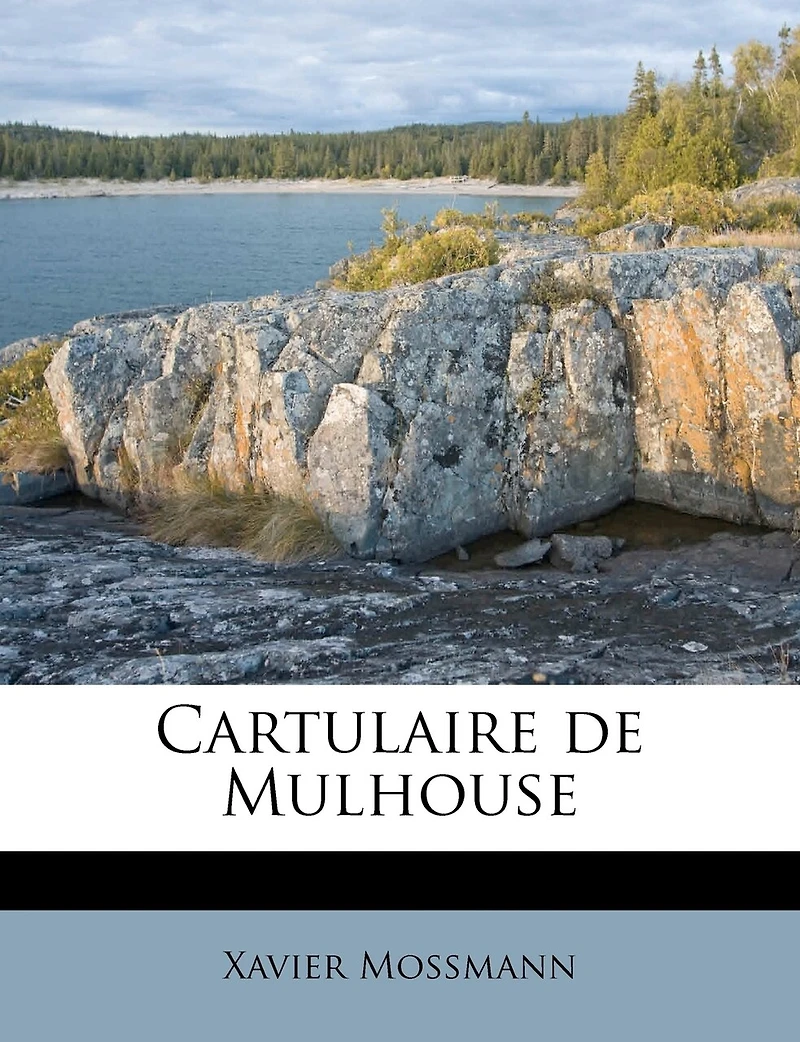 Cartulaire de Mulhouse
