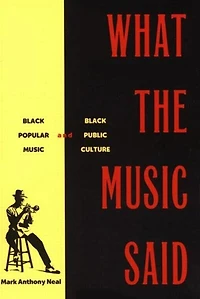 What the Music Said: Black Popular and Public Culture