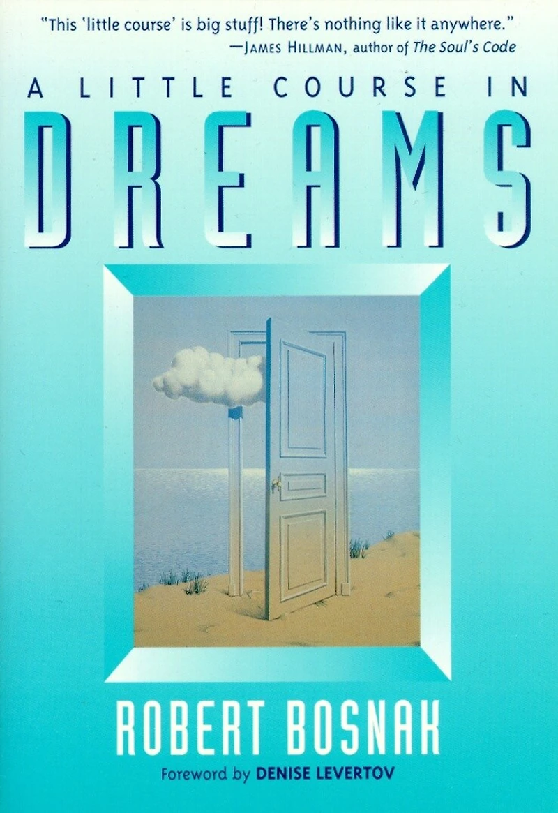 A Little Course Dreams
