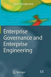 Enterprise Governance and Engineering