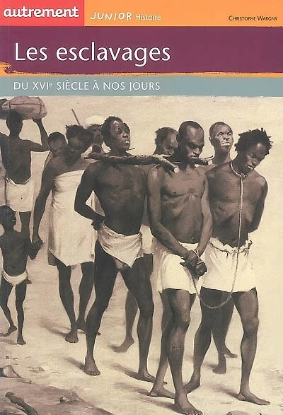 Les esclavages : du XVIe siècle à nos jours: du XVIe siècle à nos jours