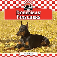 Doberman Pinschers