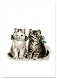 Adorable Kittens Friendship Greeting Card