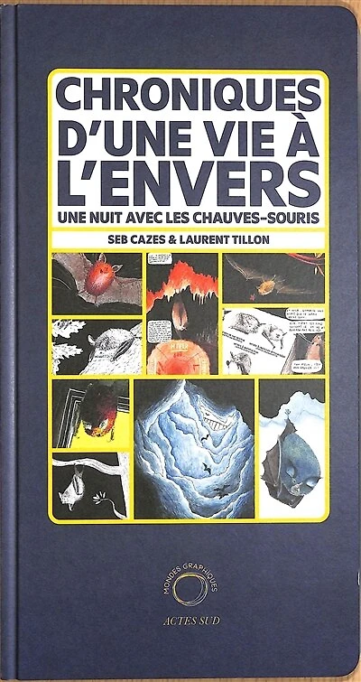 Chroniques d'une vie à l'envers : une nuit avec les chauves-souris: une nuit avec les chauves-souris