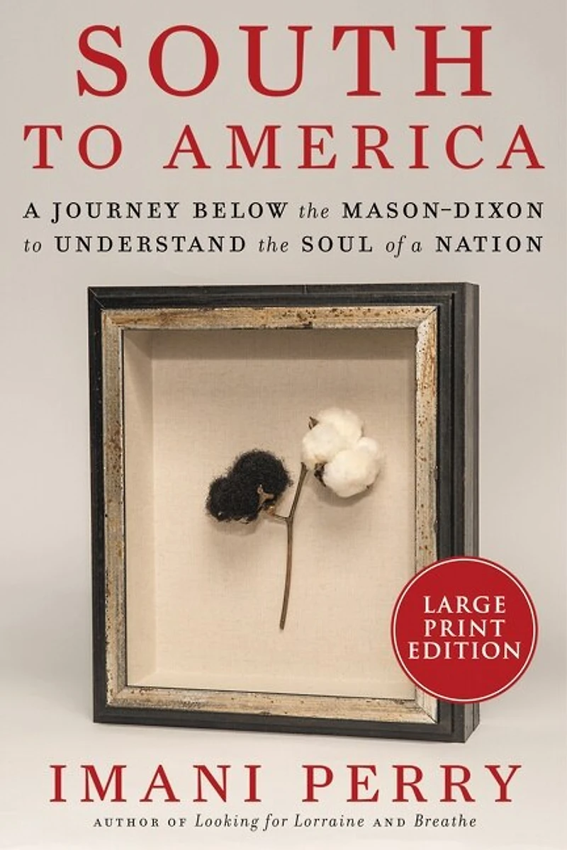 South to America: a Journey Below the Mason-Dixon Understand Soul of Nation
