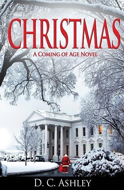 Christmas: A Coming of Age Novel
