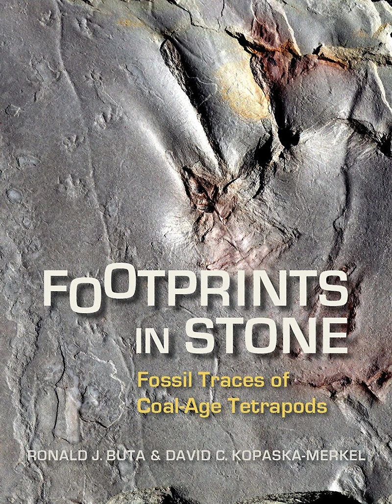 Footprints Stone: Fossil Traces of Coal-Age Tetrapods