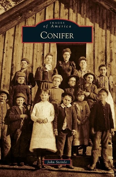 Conifer