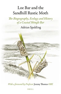 Loe Bar and the Sandhill Rustic Moth: The Biogeography, Ecology and History of a Coastal Shingle Bar